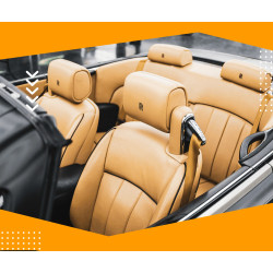 Leather Upholstery Sealing | Stain & UV Protection Neckarsulm